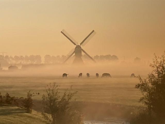 Vertoeven Bij Verhoeven Oud-Alblas Экстерьер фото